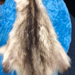 25 ‘’ Blond Raccoon Raccon Fur Skin Craft Scarf Winter Accessory n.19