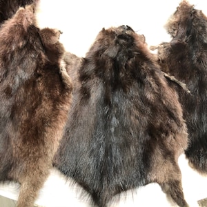12’’ Dyed Burgundy Muskrat Fur Skin Pelt Craft Scarf Winter Accessory