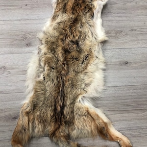 44&#39;&#39; Natural Coyote Fur Pelt Skin Tail Craft Accesorio de invierno