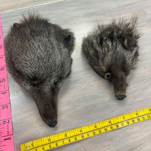 Silver Fox Fur Head Face Rigid Pin Craft Winter Accessory
