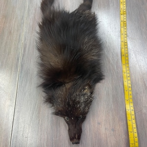 Silver Fox Fur Skin piece Head 1/2 Pelt Craft Winter Accessory Paws