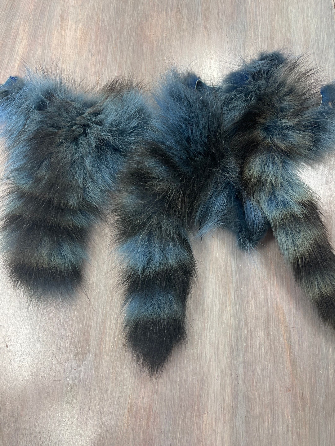 Buy 8 Inch Genuine Blue Raccon Fur Tail Craft Online in India - Etsy