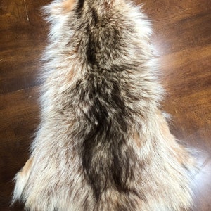 21x9&#39;&#39; Tanuki Biondo Procione Raccon Pelliccia Pelliccia Craft Sciarpa Invernale Accessorio n.17