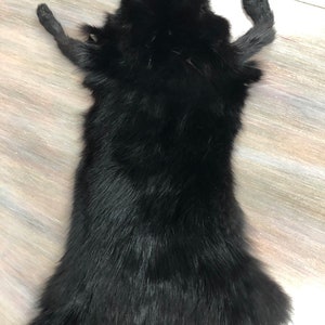 16’’ Dyed Black Russian Sable Fur Skin Pelt Craft Scarf Winter Accessory