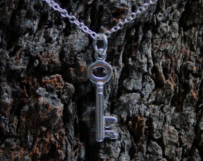 Unisex Sterling silver Dungeon Key necklace. Mistress necklace. Master necklace. Domme Necklace. Dom necklace. Key necklace. Owner necklace.