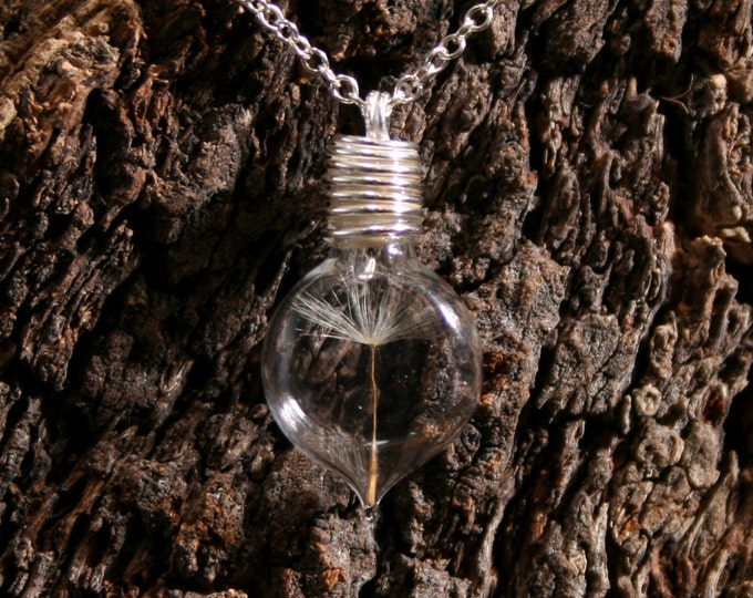 Dandelion  Wishes ~ 'Make a Wish' Pendant ~ Hand blown glass & sterling silver pendant with a real dandelion seed  inside. Wishing bottle.