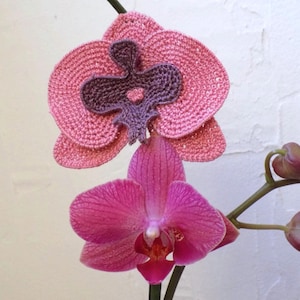 May include: A pink and purple crocheted orchid flower with a real pink orchid flower in the background.