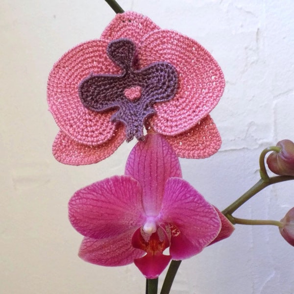 TUTORIEL DE CROCHET Broche Pince à Cheveux Fleur d'Orchidée Rose Crochetée pour Femmes