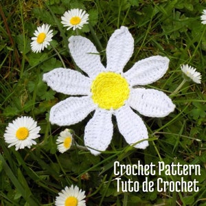 Könnte beinhalten: Eine große, handgefertigte Häkel-Gänseblümchen mit weißen Blütenblättern und einem gelben Zentrum, umgeben von echten Gänseblümchen in grünem Gras. Der Text "Crochet Pattern Tuto de Crochet" ist enthalten.