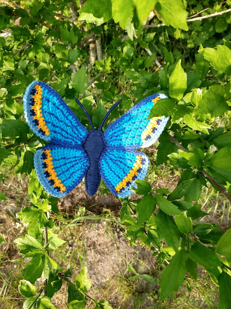 CROCHET PATTERN Crochet Butterfly for Decor or Jewelry Etsy