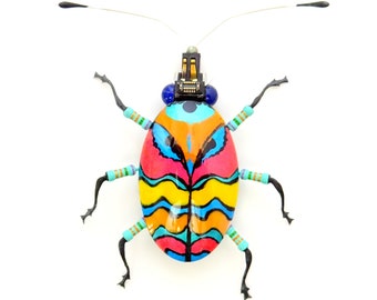 The Little Multi-Coloured,  Striped Beetle, by Julie Alice Chappell