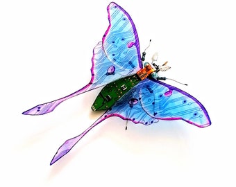 The Delicate Blue Moon Moth, Circuit Board Insect by Julie Alice Chappell.