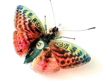 The Motorollo Butterfly, Fantasy Circuit Board Butterfly by Julie Alice Chappell