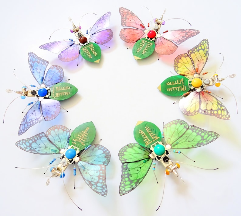 Julie Alice Chappell