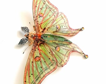 The Spanish Luna Moth, Circuit Board Insect by Julie Alice Chappell