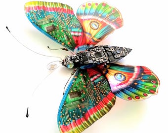 Little Clear Wing Butterfly, Fantasy Circuit Board Insect by