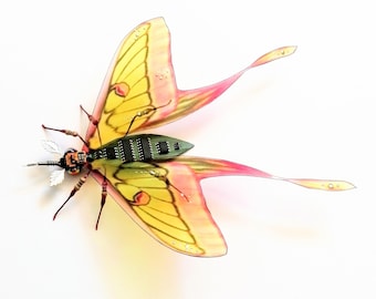 The Ethereal Luna Moth, Circuit Board Insect by Julie Alice Chappell