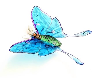 The Blue Moon Moth, Fantasy Circuit Board Insect by Julie Alice Chappell