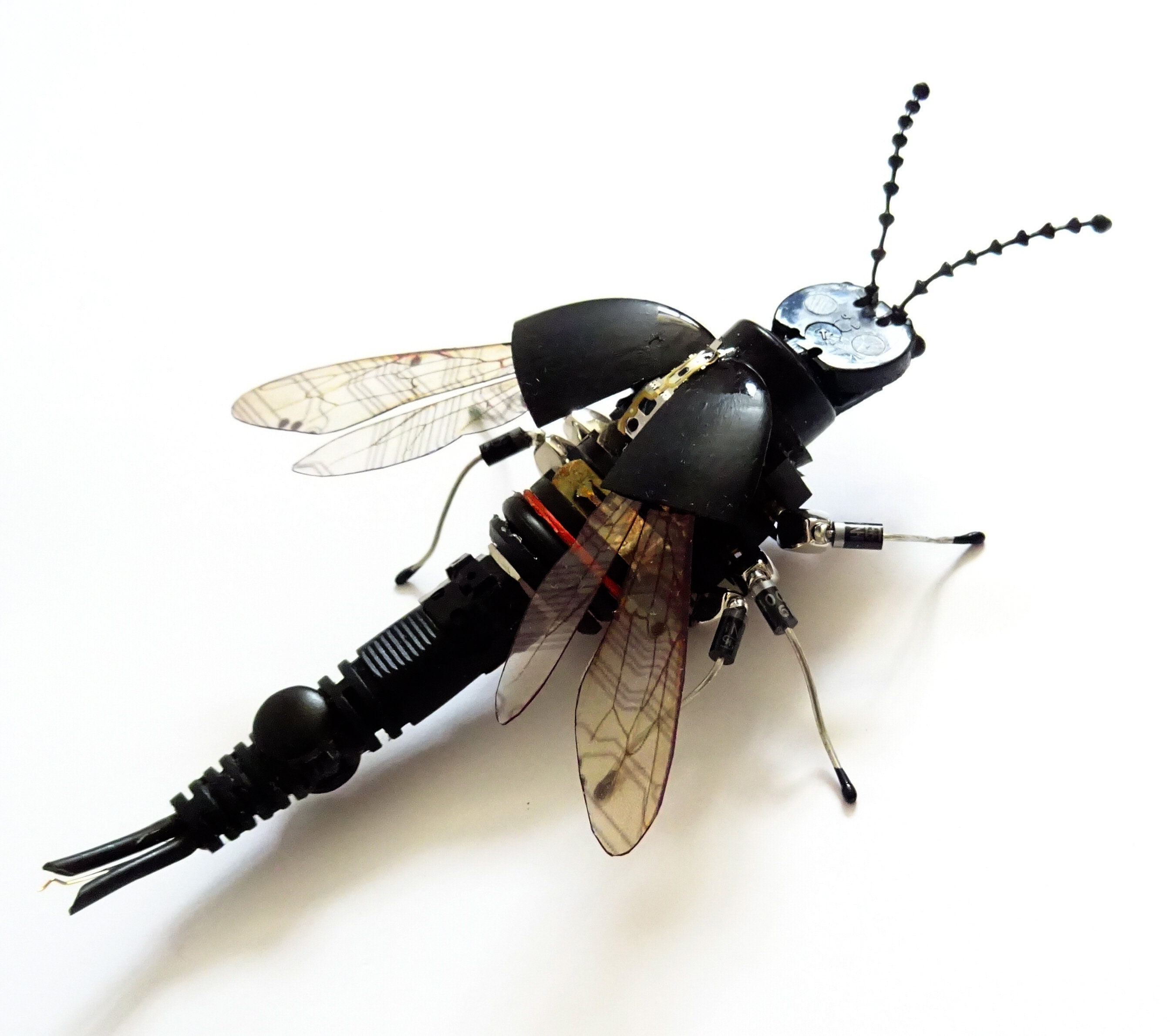 The Devil's Coach Horse Beetle Electronic Component - Etsy Hong Kong
