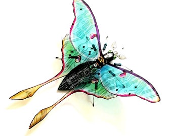 The Japanese Luna Moth, Circuit BoardInsect by Julie Alice Chappell