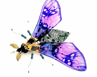 The Purple Oleander Moth, Fantasy Circuit Board Insect by Julie Alice Chappell