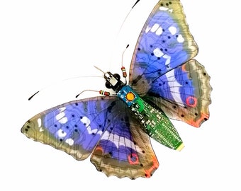 The Purple Emperor Butterfly, Circuit Board Insect by Julie Alice Chappell