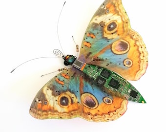 The Large Turquoise Buckeye Butterfly, Circuit Board Insect