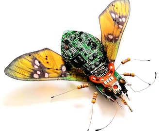 The Cyber Fly, Fantasy Circuit Board Insect by Julie Alice Chappell