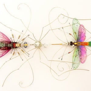 The Web of Life, Trio of Bugs: The Spider, Fly and Ichneumon Wasp by Julie Alice Chappell