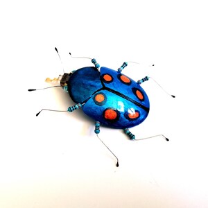 De oranje gevlekte kever, handgeschilderde plastic verpakking en insect met elektronische component