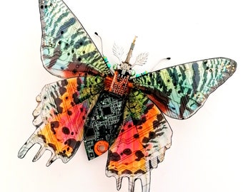The Sunset Moth, Circuit Board Insect by Julie Alice Chappell