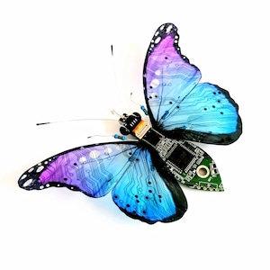 Electronic Butterflies – Skylab Electronic Butterflies - Skylab - YouTube