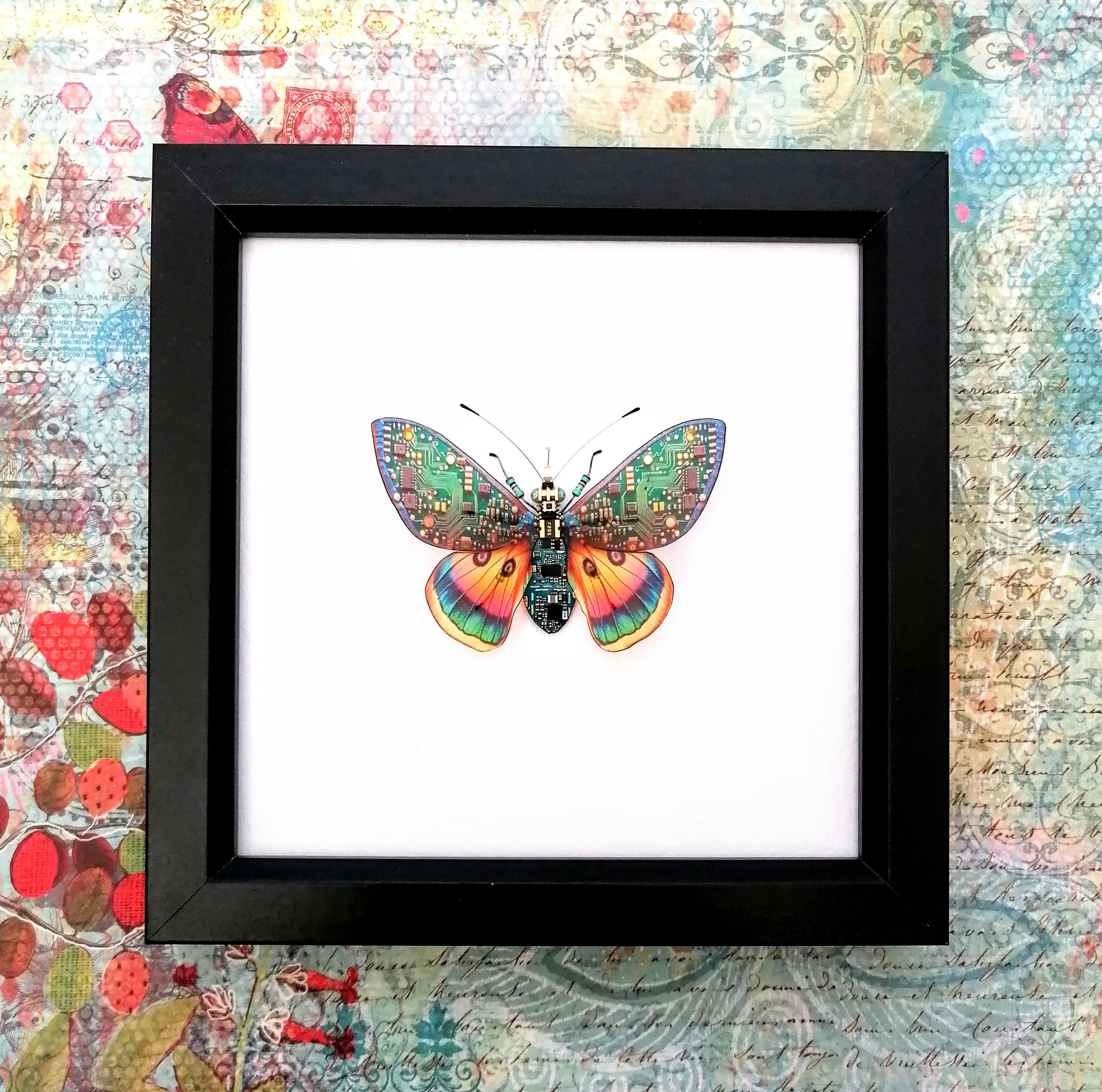 Electronic Butterflies – Skylab Stream Electronic Butterflies - Skylab (1974) by Amr AlfiQy