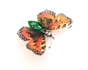 Little Clear Wing Butterfly, Fantasy Circuit Board Insect by