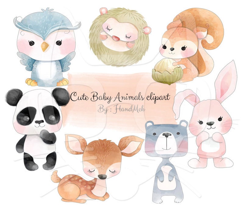 Mignons Animaux De Bebe Clip Art Animaux Clipart Couleur De Etsy