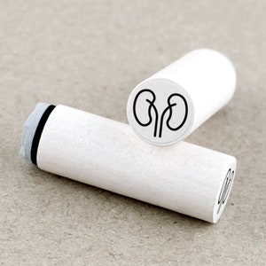 Mini Rubber Stamp Kidneys