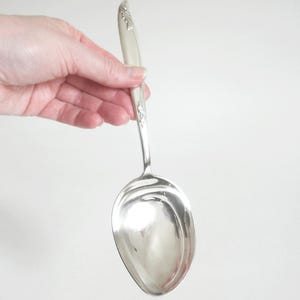 May include: A silver serving spoon with a large, oval bowl and a decorative handle. The handle features an embossed floral design. The spoon is held against a plain white background, highlighting its polished surface.