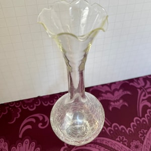 Può includere: Un vaso di vetro trasparente con una finitura testurizzata craquelé. Il vaso ha una base rotonda e un collo alto e sottile con un'apertura a balze.