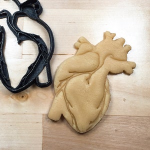 3D Printed Anatomical Human Heart cookie cutter