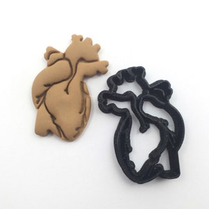 Mini Anatomical Human Heart cookie cutter for cupcake toppers