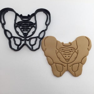 Pelvis Cookie Cutter 3D Printed
