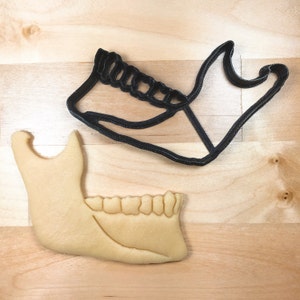Anatomical Jaw Bone Cookie Cutter 3D Printed