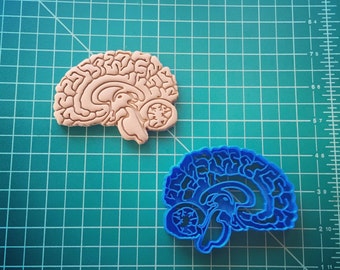Cortador de galletas cerebrales 3D impreso