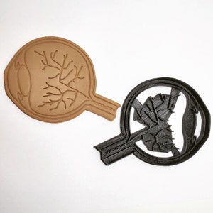 Anatomical Eye Cookie Cutter 3D Printed