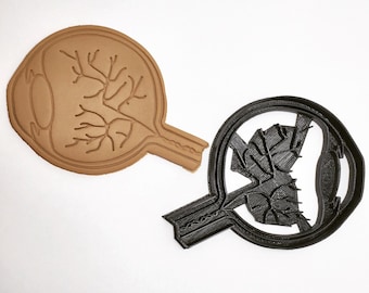 Cortador de galletas de ojos anatómico 3D impreso