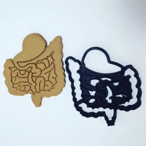 Gut Stomach Intestines Cookie Cutter 3D Printed