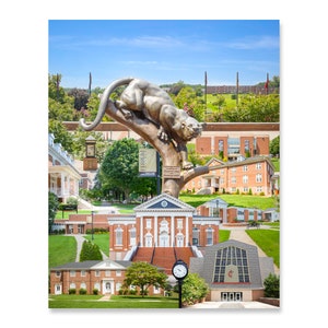 May include: A collage of images showcasing the campus of Ferrum College. The collage features a bronze statue of a panther on a tree, a brick building with columns, a clock tower, and other buildings. The college's name is visible on a banner in the center of the image.
