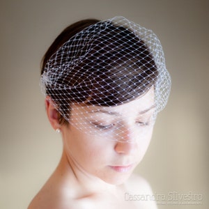 Bandeau Birdcage Wedding Veil (Swarovski Crystals, Bridal Veil, Russian Netting Veil, Small Veil, Bird Cage Veil, Mini Veil, Retro Veil)