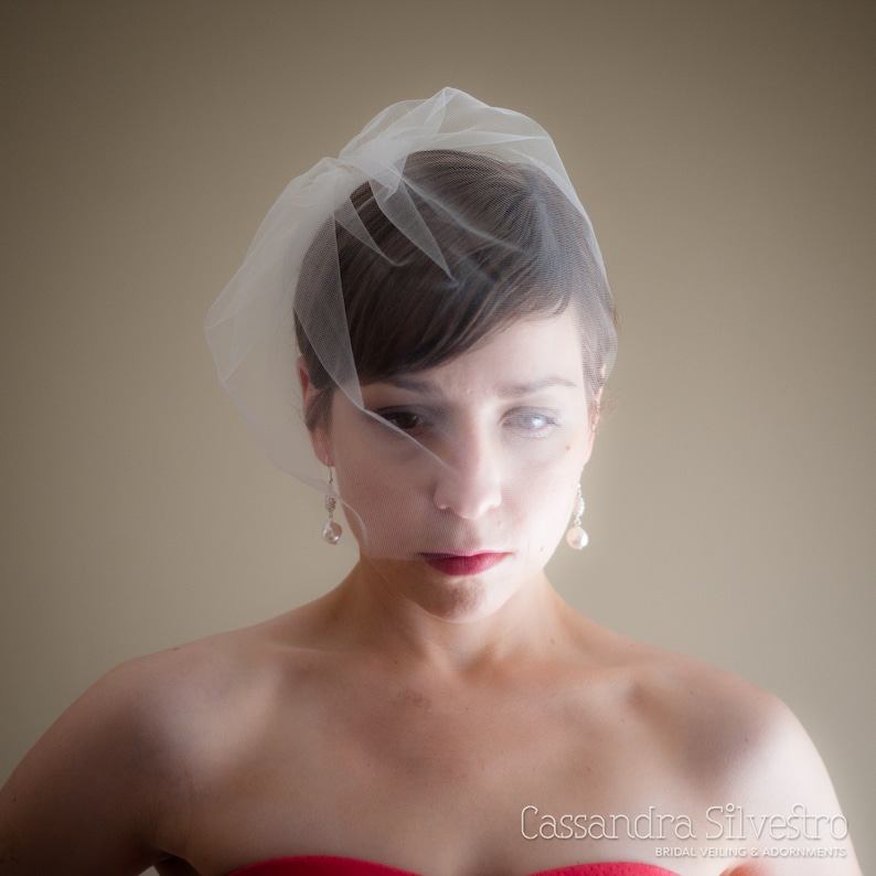 Medium Tulle Birdcage Wedding Veil (Blusher Veil, Mini Veil, Bridal Veil, Bridal Illusion Tulle, Bird Cage Veil, Retro Veil) image 1