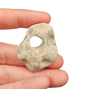 Amuleti celtici: pietra della strega irlandese/pietra della strega/pietra di Odino note per le loro qualità protettive e per i sussurri dell'altro mondo